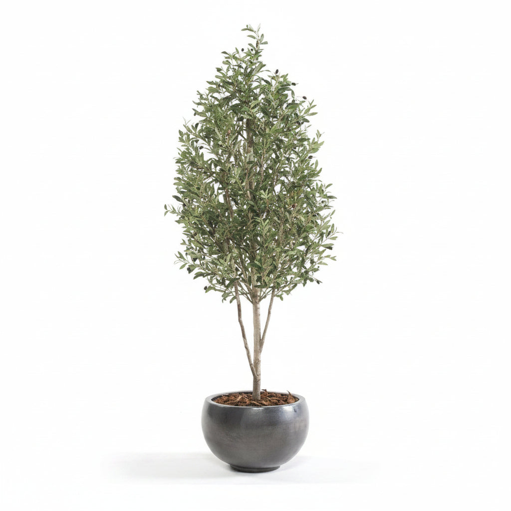 Olivo Mini Artificial 175 cm