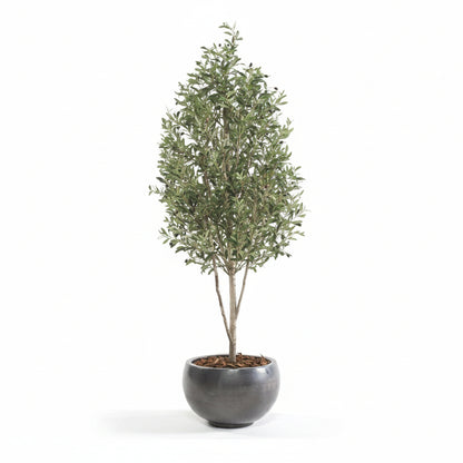 Olivo Mini Artificial 175 cm