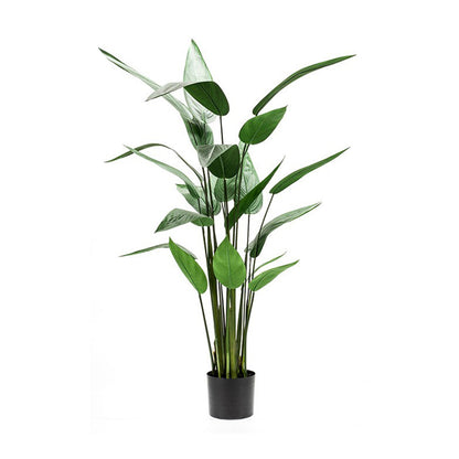 Árbol HELICONIA - Dekogreen®