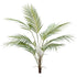 Palmera Chamaedorea - Dekogreen®