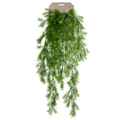 Planta colgante ASPARAGUS SPRENGERI - Dekogreen®