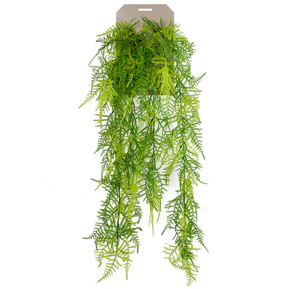 Planta colgante HELECHO PLUMOSO - Dekogreen®