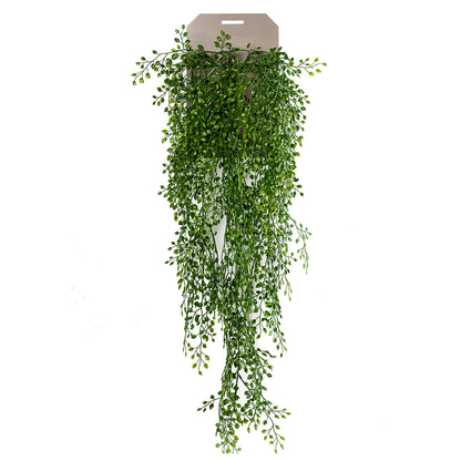 Planta colgante JAZMÍN - Dekogreen®
