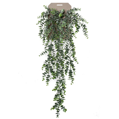 Planta colgante EUCALIPTO - Dekogreen®