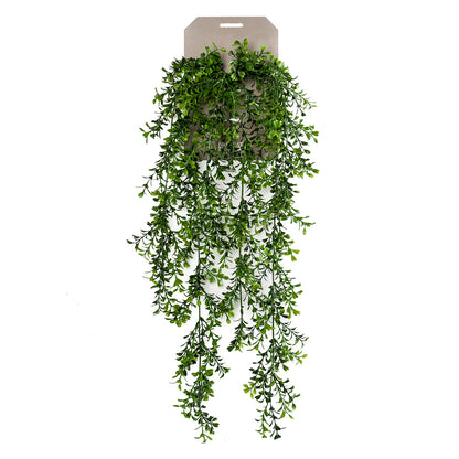 Planta Colgante BOJ - Dekogreen®