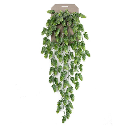 Planta colgante LÚPULO - Dekogreen®