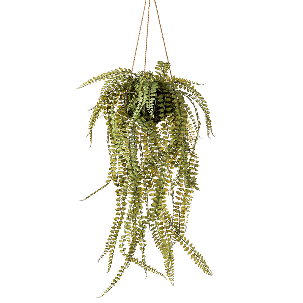 HELECHO Colgante de techo Kokedama - Dekogreen®