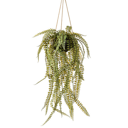 HELECHO Colgante de techo Kokedama - Dekogreen®