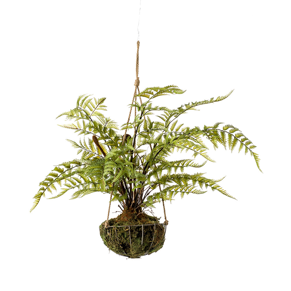Kokedama HELECHO colgante con cesta metálica - Dekogreen®