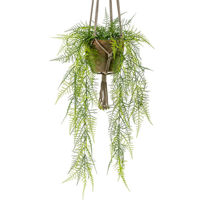 HELECHO PLUMOSO colgante de techo - Dekogreen®