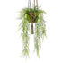 HELECHO PLUMOSO colgante de techo - Dekogreen®