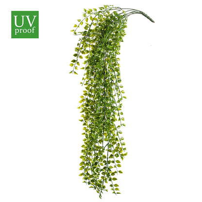 Planta Colgante FICUS PUMILA UV - Dekogreen®