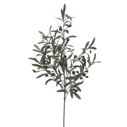 ARBUSTO DE OLIVO - Dekogreen®