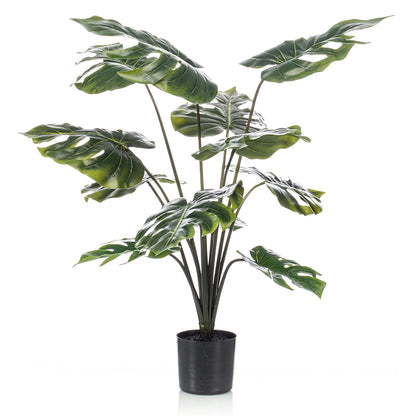 Planta MONSTERA - Dekogreen®