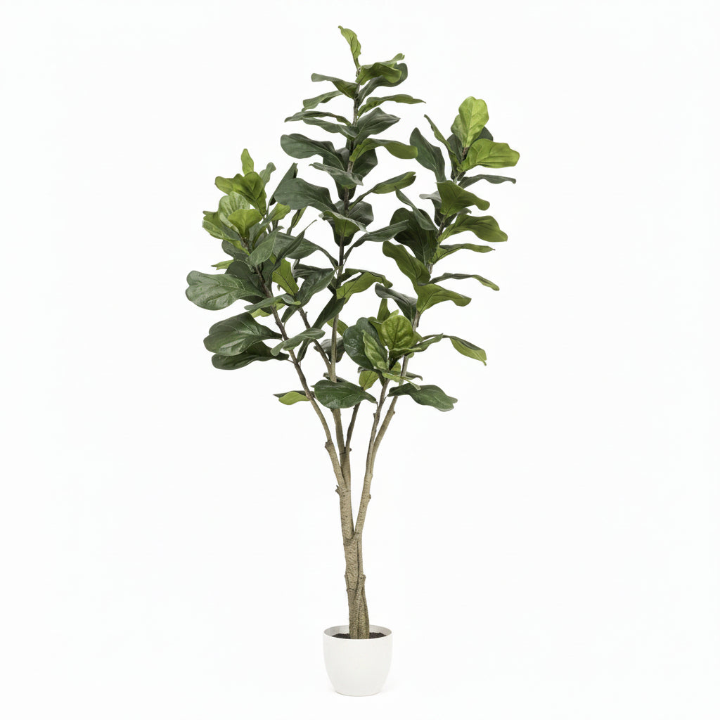 Ficus Lyrata Artificial 210 cm