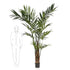 Árbol KENTIA MAXI - Dekogreen®