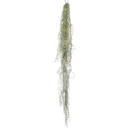 Arbusto colgante Tillandsia - Dekogreen®