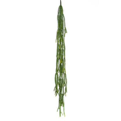 Arbusto colgante EPIPHYLLUM - Dekogreen®