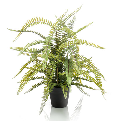 Helecho BOSTON de70 cm - Dekogreen®
