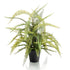 Helecho BOSTON de70 cm - Dekogreen®