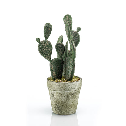 Cactus PLANO - Dekogreen®