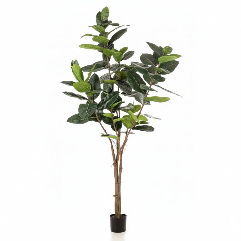 Ficus Elastic Artificial 180 cm