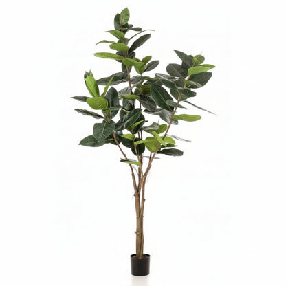 Ficus Elastic Artificial 180 cm