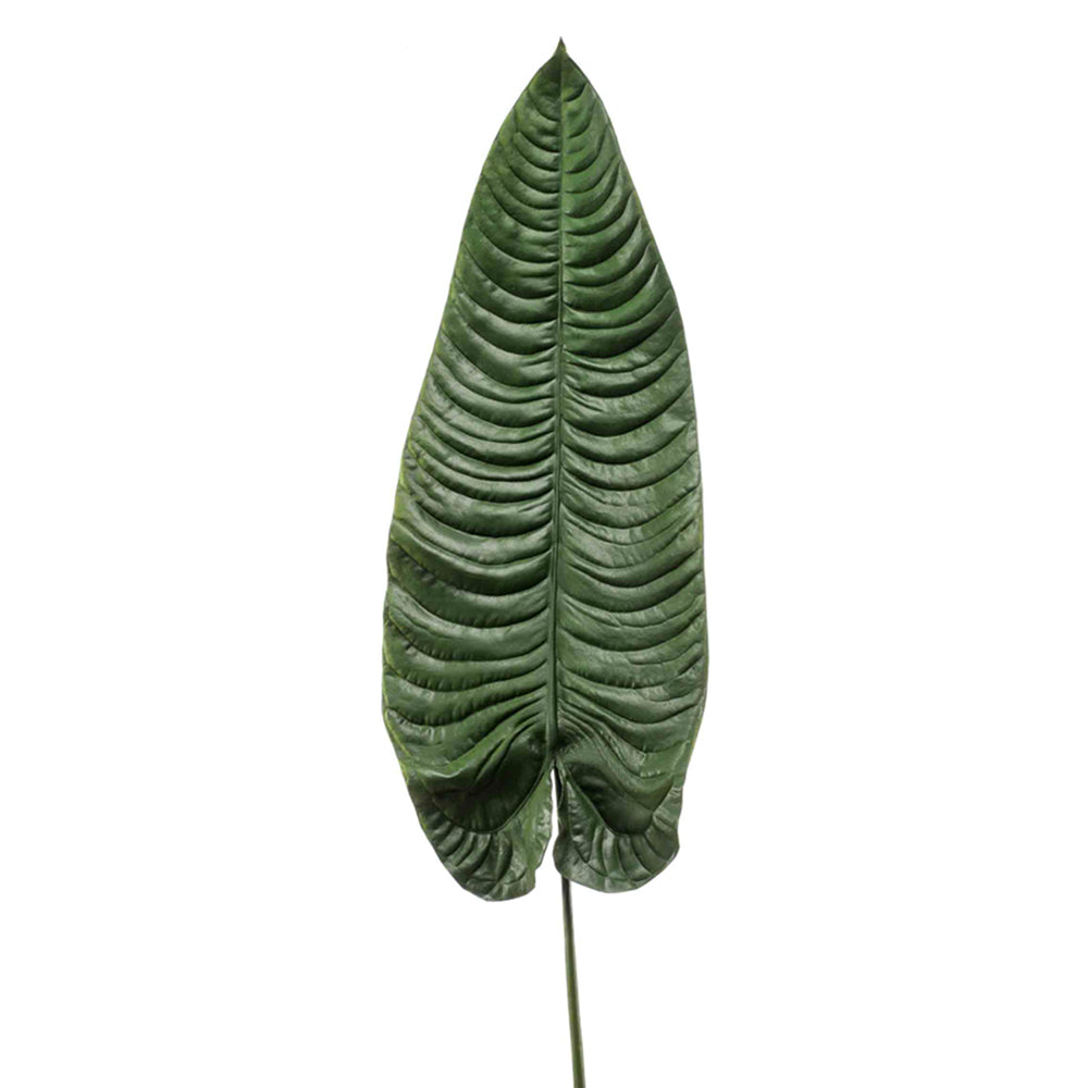 HOJA DE ELEFANTE VERDE - Dekogreen®