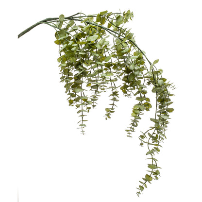 Arbusto colgante EUCALYPTUS - Dekogreen®