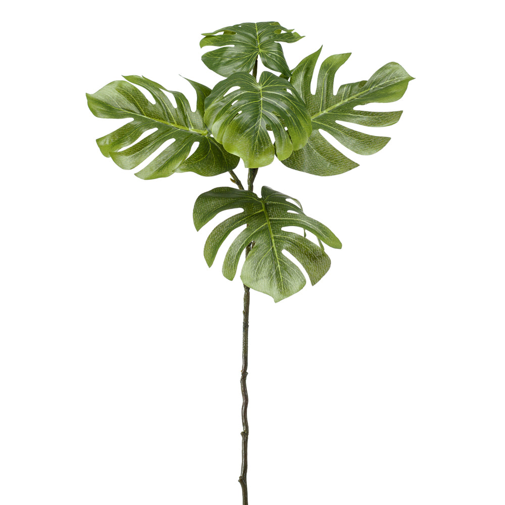 Hojas de Monstera - Dekogreen®