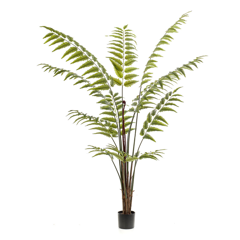 Árbol FERN GREEN - Dekogreen®