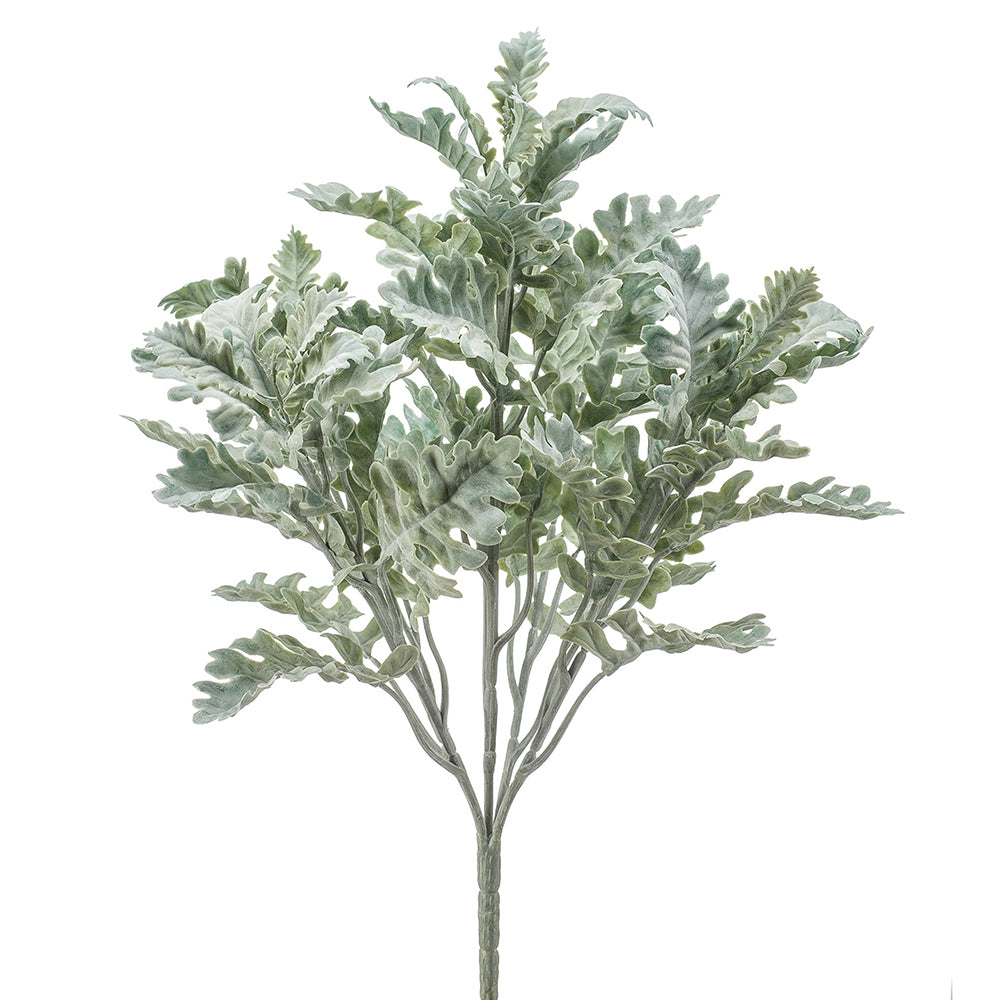 ARBUSTO DE CINERARIA - Dekogreen®
