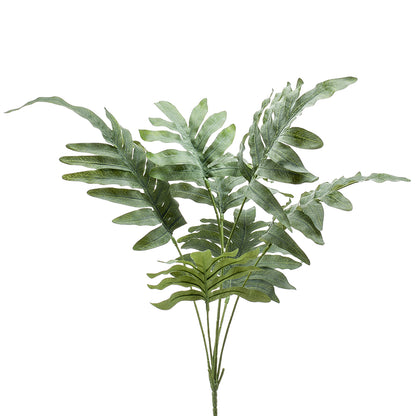 ARBUSTO DE FLEBODIO - Dekogreen®