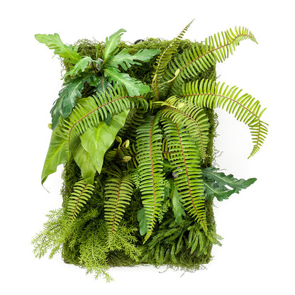 JARDIN VERTICAL SALVAJE - Dekogreen®
