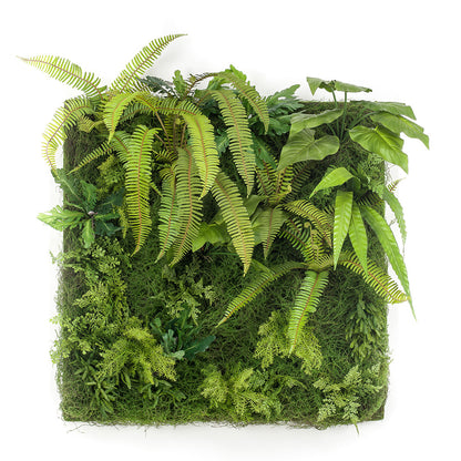 JARDIN VERTICAL SALVAJE MUSGO - Dekogreen®