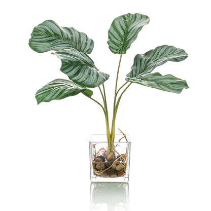 CALATEA - Dekogreen®