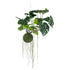 Kokedama MONSTERA colgante 80 cm - Dekogreen®