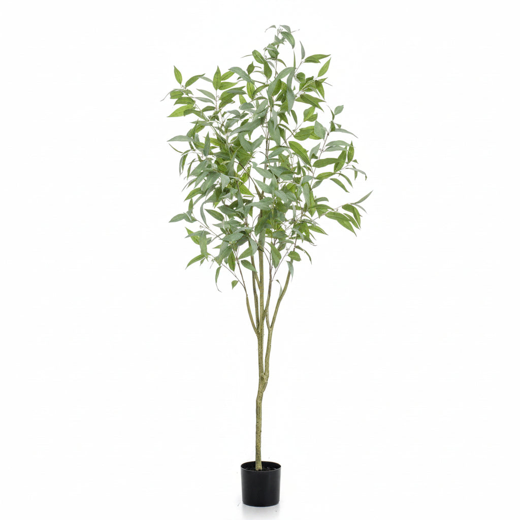 Globulus Artificial