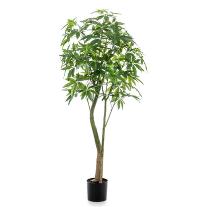 Árbol PACHIRA - Dekogreen®