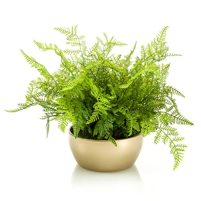 BOSQUE DE HELECHOS - Dekogreen®