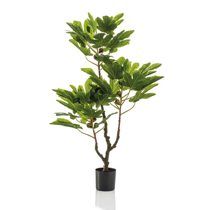 Árbol HIGUERA - Dekogreen®