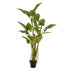 Árbol COLOCASIA de 195 cm - Dekogreen®