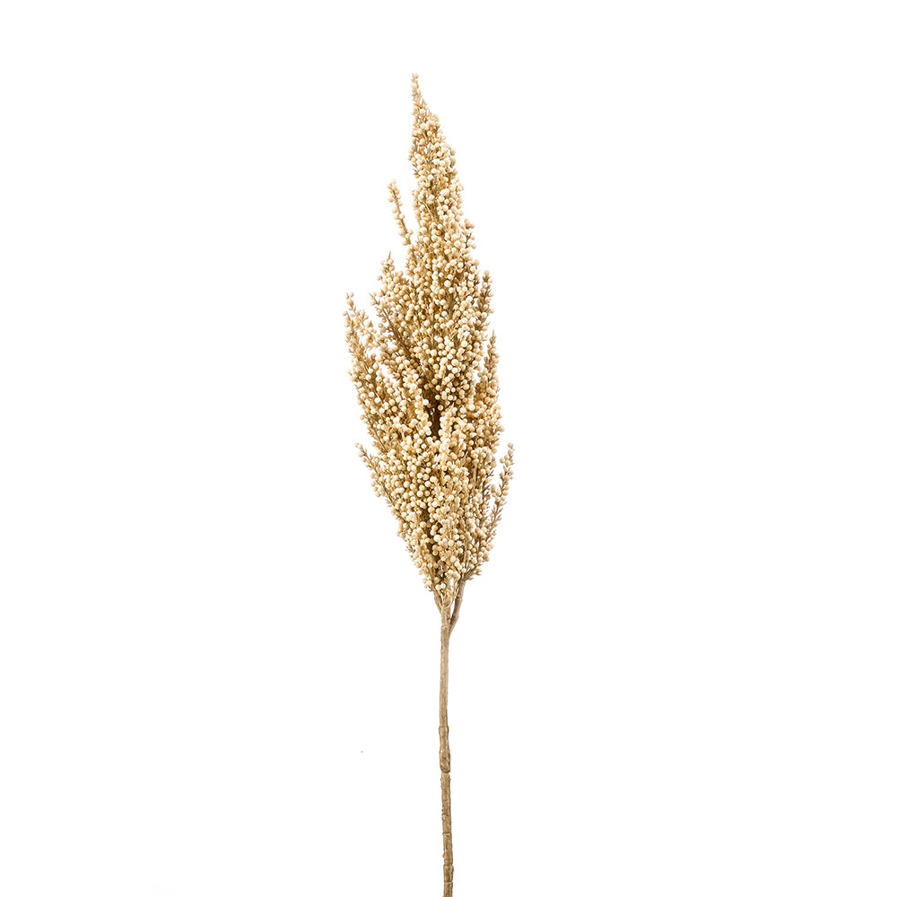 RAMA DE SORGO BEIGE - Dekogreen®