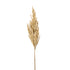 RAMA DE SORGO BEIGE - Dekogreen®