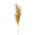PAMPA SPRAY OCRE - Dekogreen®