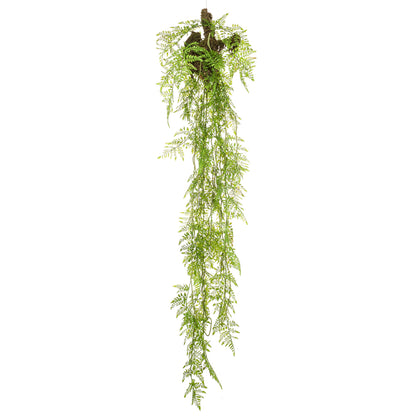 Planta colgante Helecho con tronco - Dekogreen®