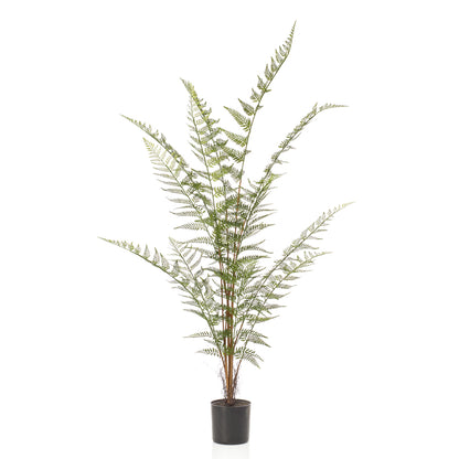 Árbol Helecho Mini - Dekogreen®