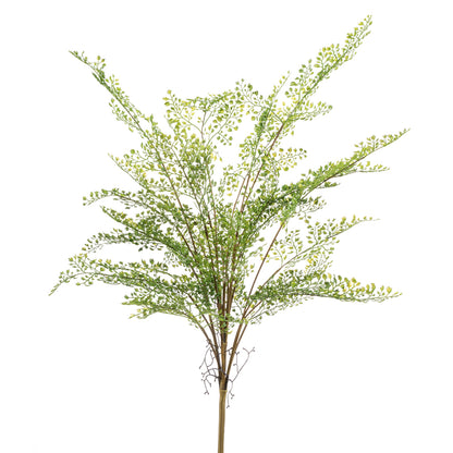 Arbusto Helecho Adiantum - Dekogreen®