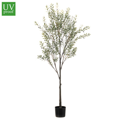 Árbol Olivo UV 175 cm - Dekogreen®