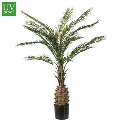 Palmera EXOTIC UV - Dekogreen®